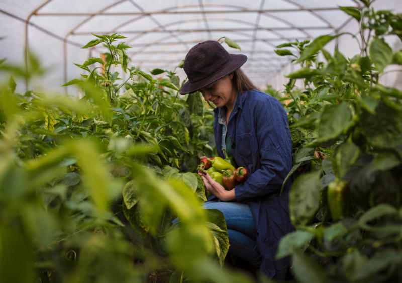 Female Ag